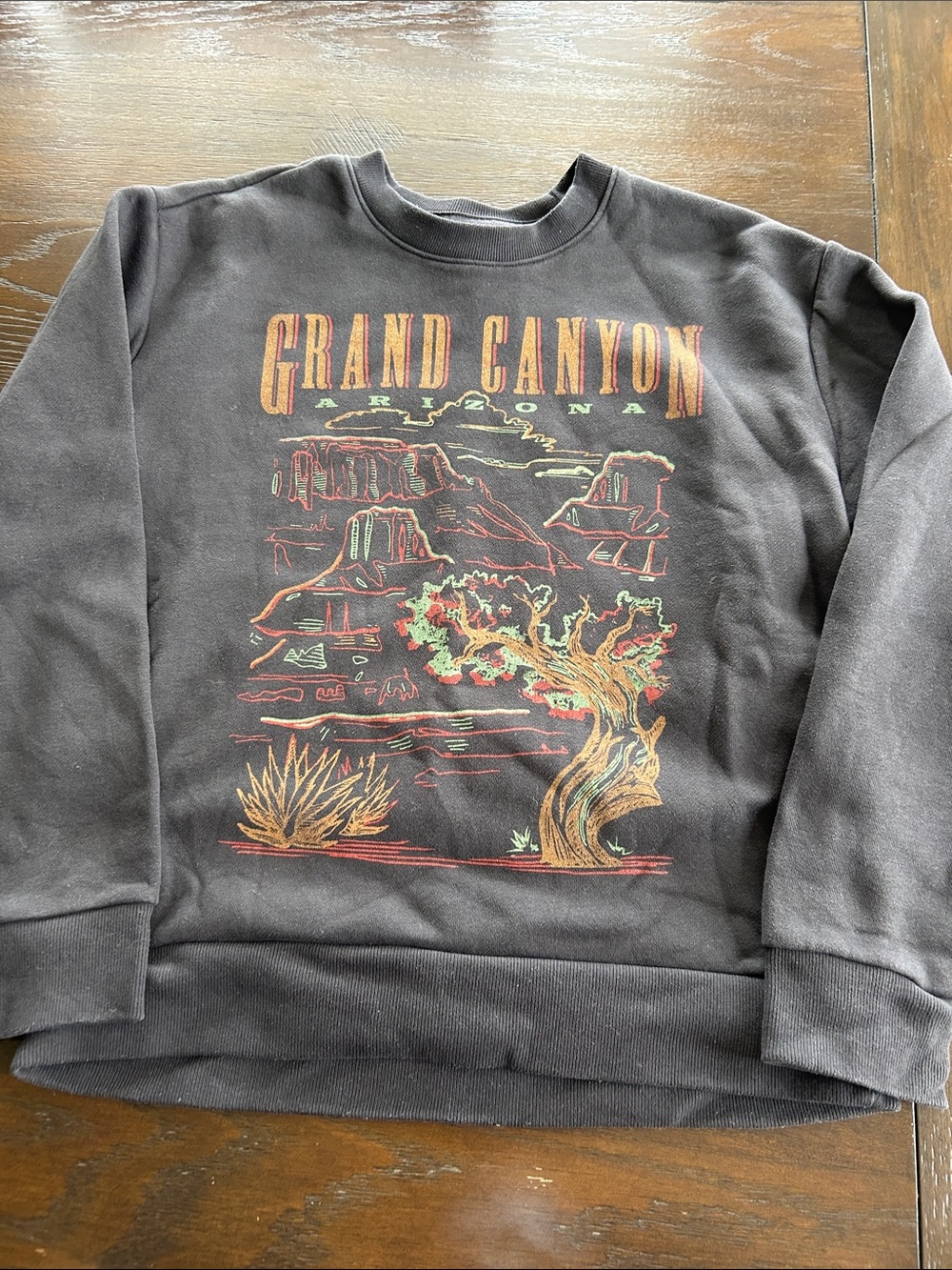 Hollister Black Grand Canyon Graphic Crewneck Sweatshirt